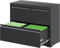FLIXELIO File Cabinets 2 Drawer,Metal Office Storage Filing Cabinet with Lock,Black Lateral Filing Cabinet for Home Office,Horizontal 2-Drawer File Cabinets for Legal/Letter/A4,Assembly Require,Black