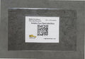 Mighty Line Heavy Duty Clear Label Protectors Cover for Protecting Floor Markings, Barcodes, Numbers and Stickers, Pre-Cut Roll, Peel and Stick, Adhesive, Adhesive, 4" Wide by 6" Long, Pack of 50